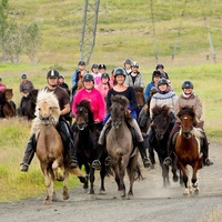 Horse riding tour