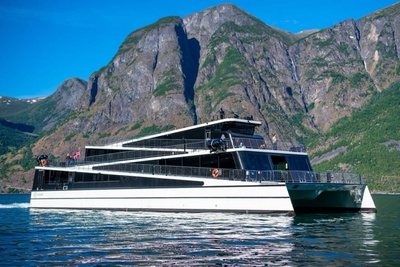 Discover Naeroyfjord by cruise