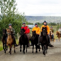 Horse riding tour