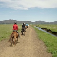 Horse riding tour
